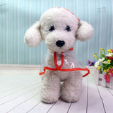 Waterproof Transparent Raincoats Raincoat Puppy Rain Jacket